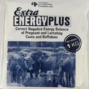 Extra ENERGY PLUS